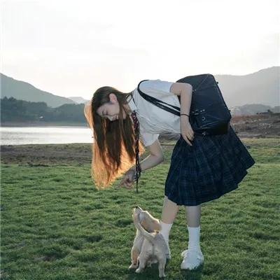 白蛇抄